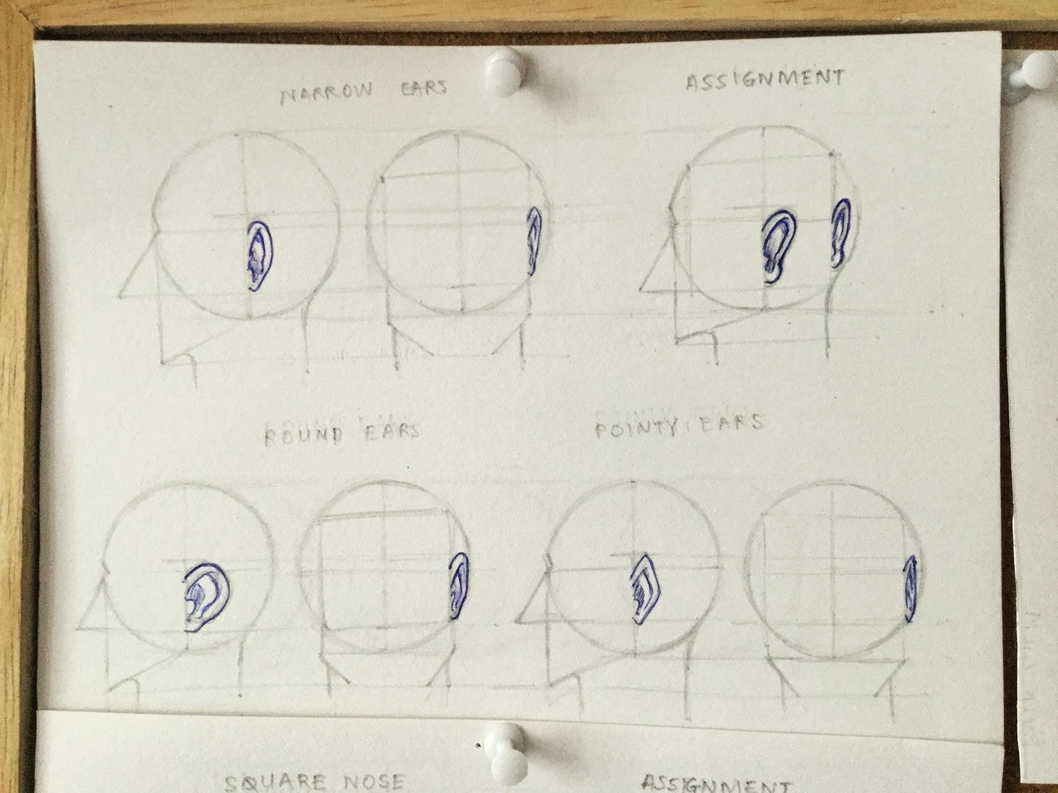 Draw Ears and Noses - image 1 - student project