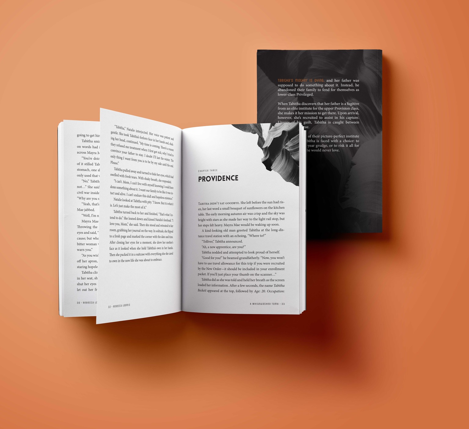 Book Formatting (2): A Whitewashed Tomb & Primordium - image 7 - student project