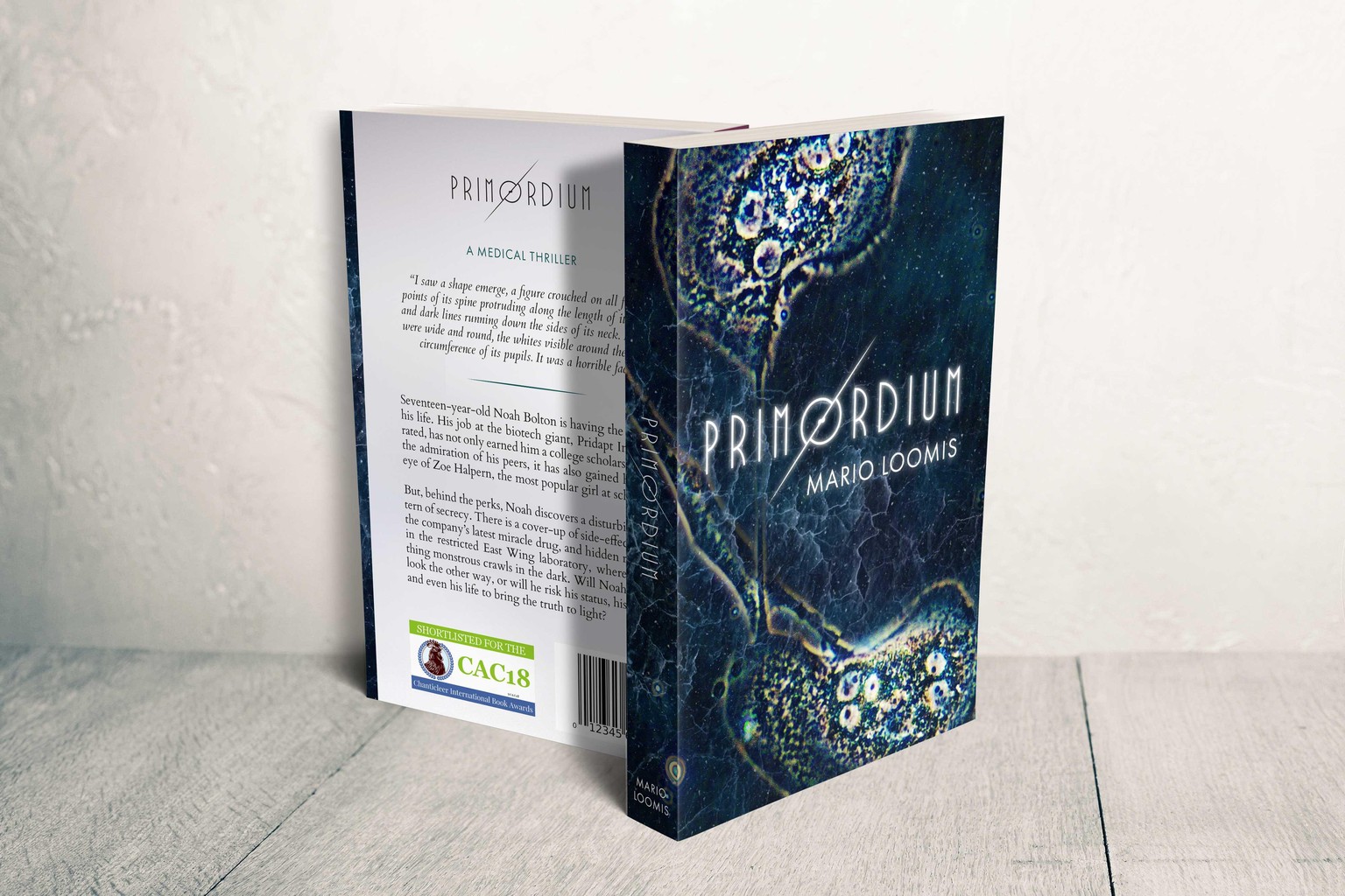 Book Formatting (2): A Whitewashed Tomb & Primordium - image 8 - student project