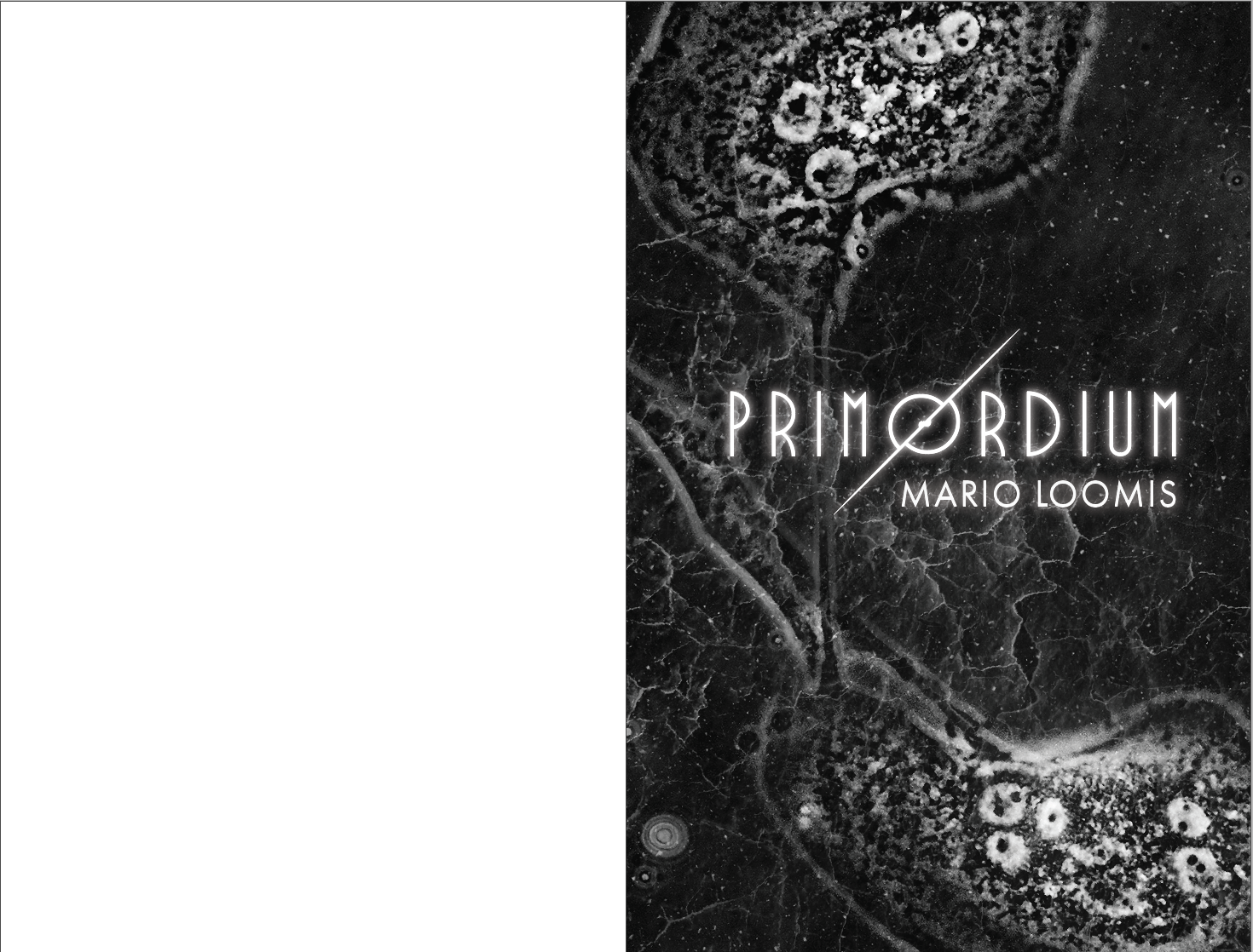 Book Formatting (2): A Whitewashed Tomb & Primordium - image 9 - student project