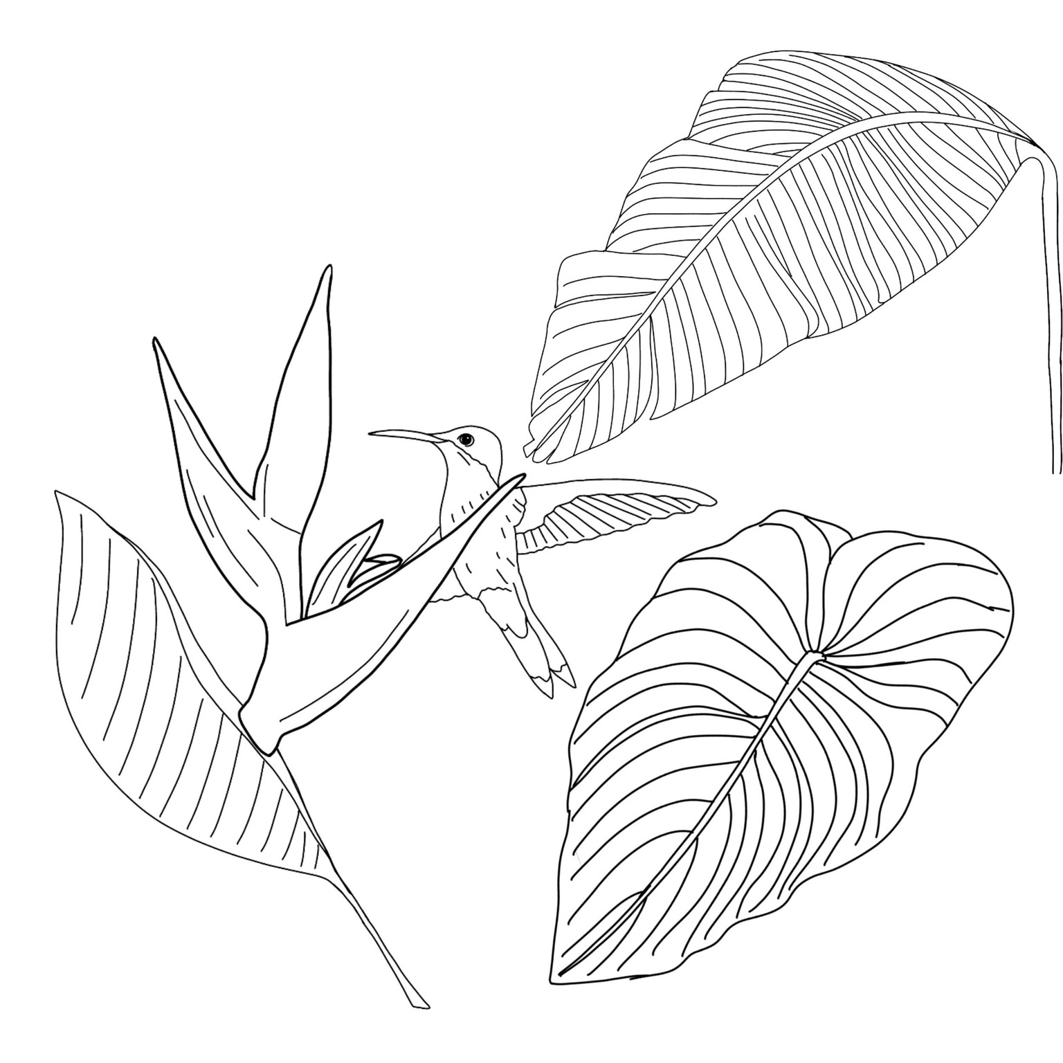 Vectorizing procreate drawings - image 2 - student project