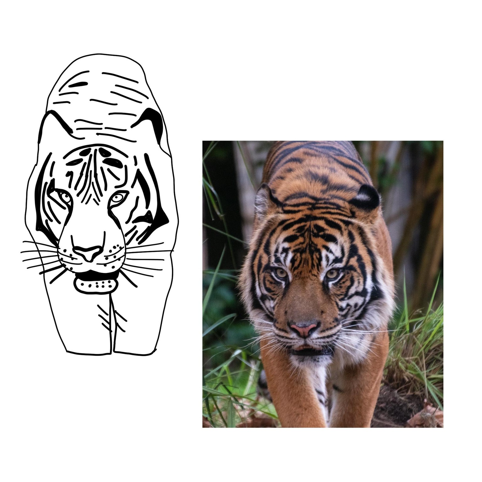 Vectorizing procreate drawings - image 1 - student project