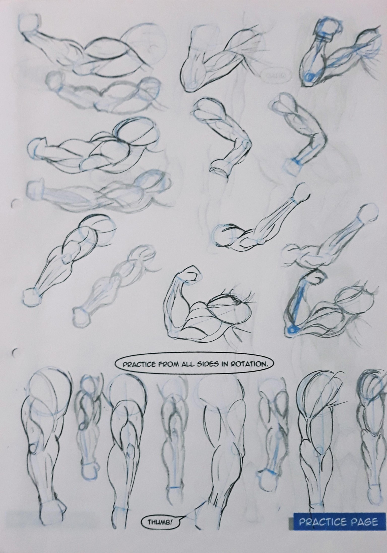 Exercícios de anatomia - image 1 - student project