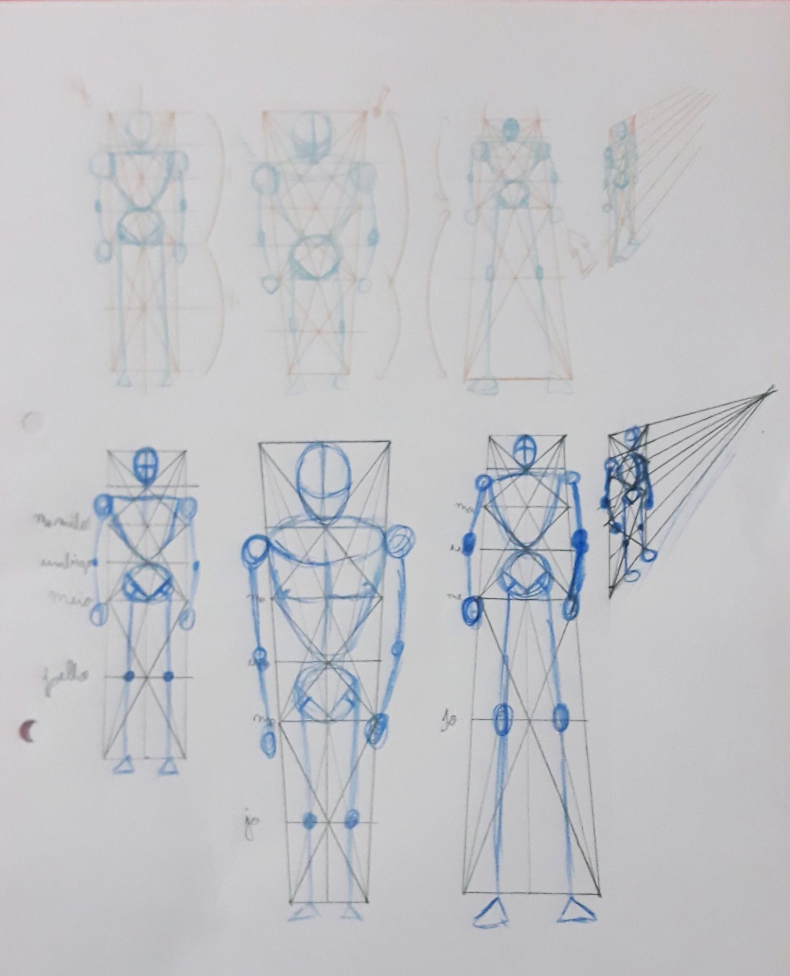 Exercícios de anatomia - image 2 - student project