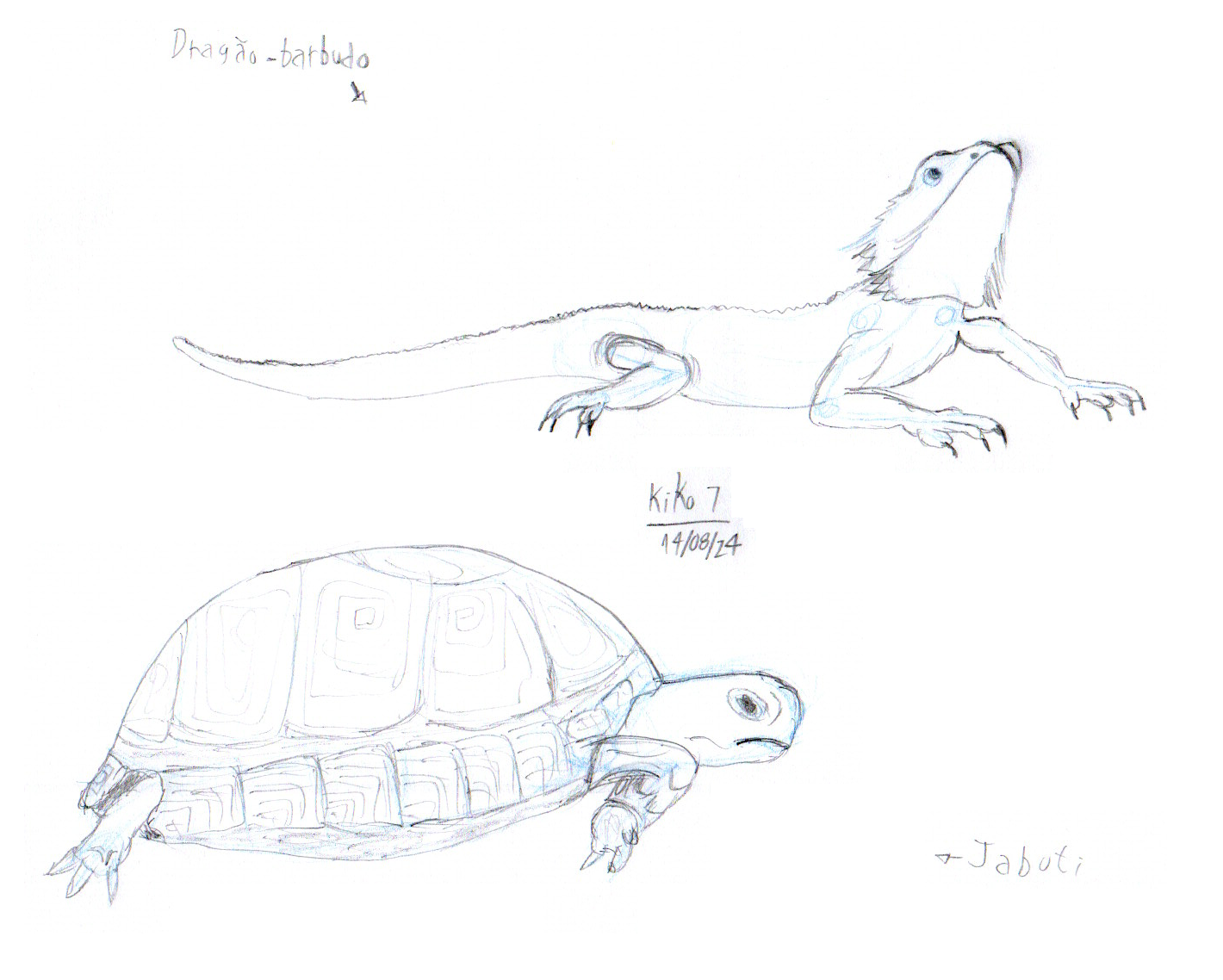 Desenho anatômico de animais - image 3 - student project