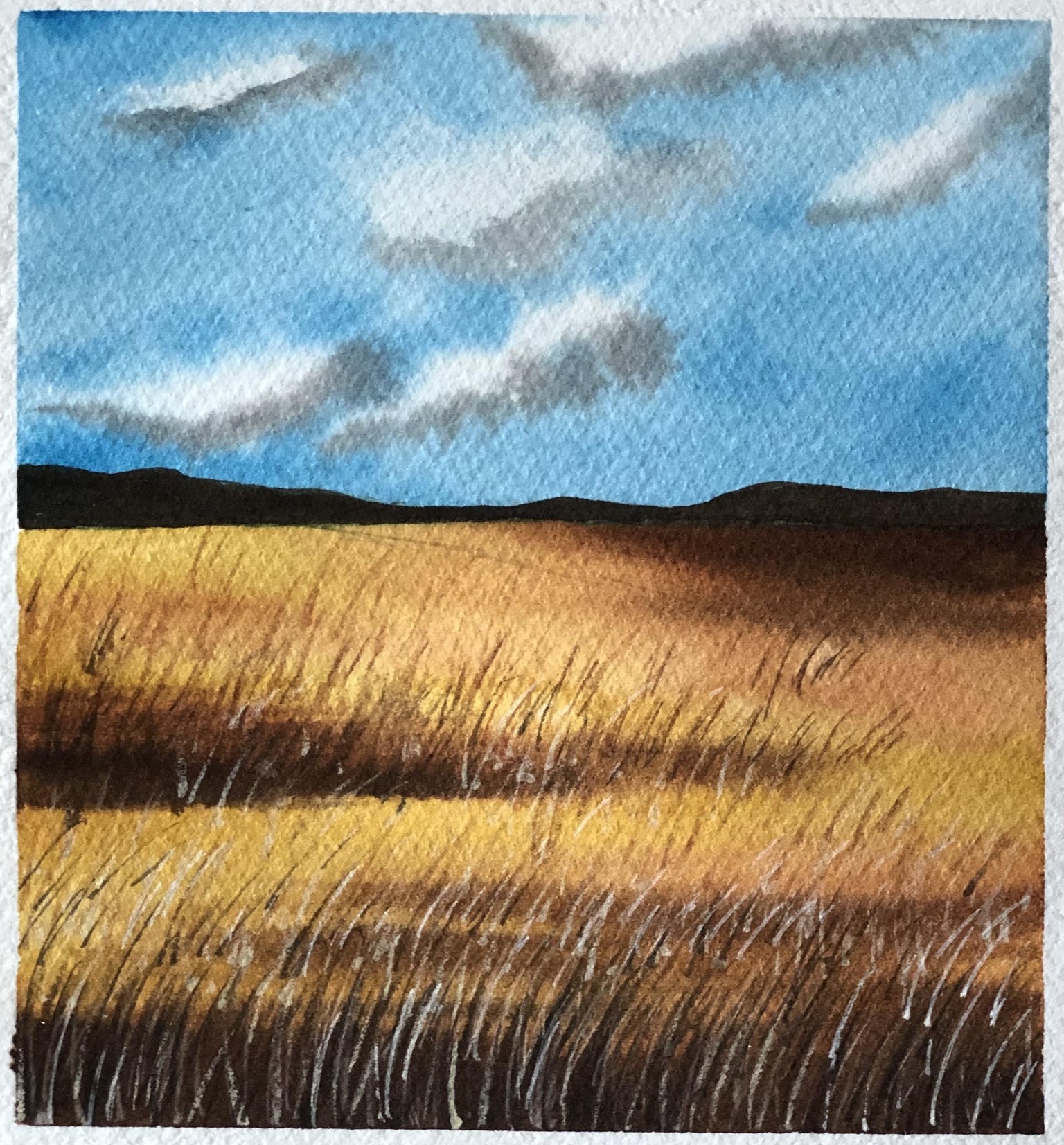 New 30 Day Watercolour Challenge - image 10 - student project