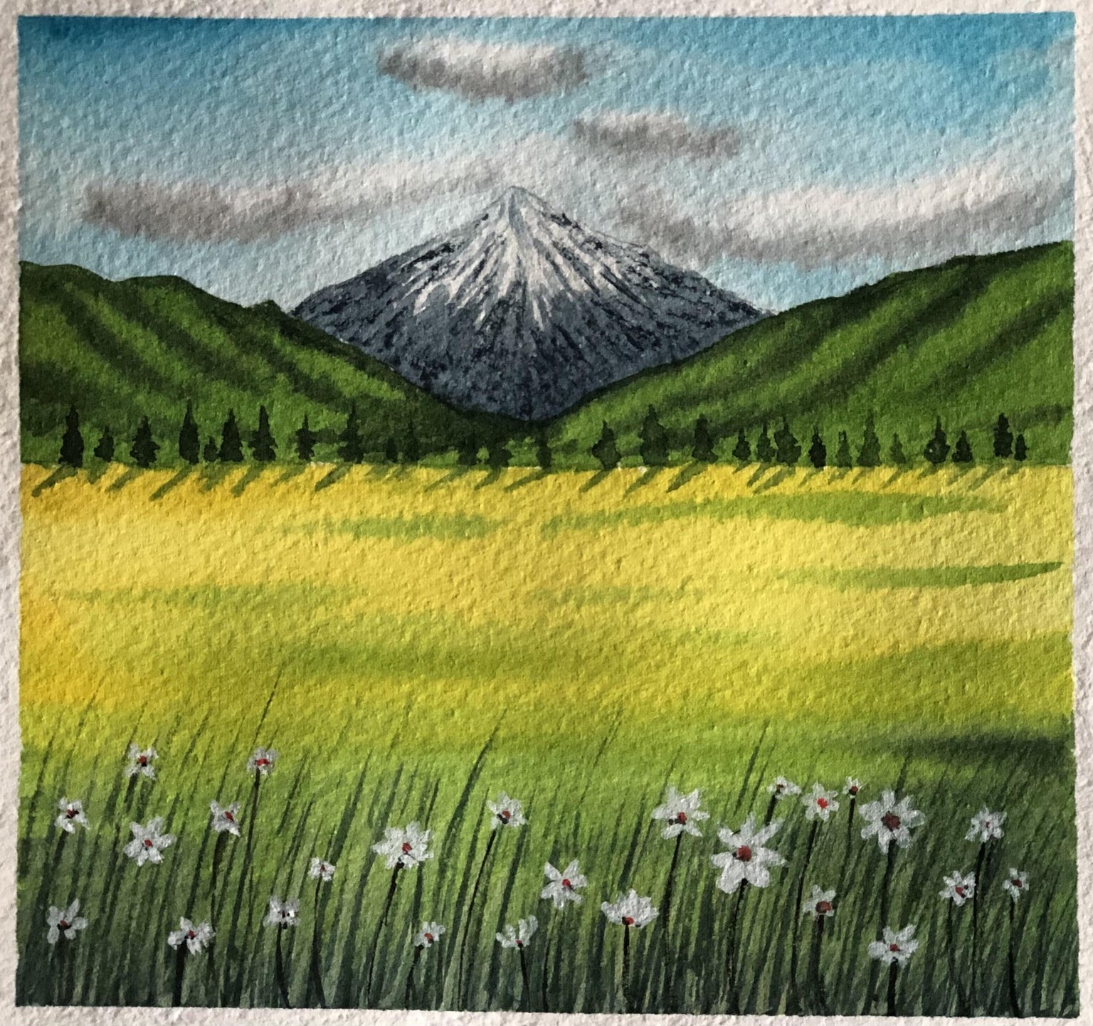 New 30 Day Watercolour Challenge - image 3 - student project