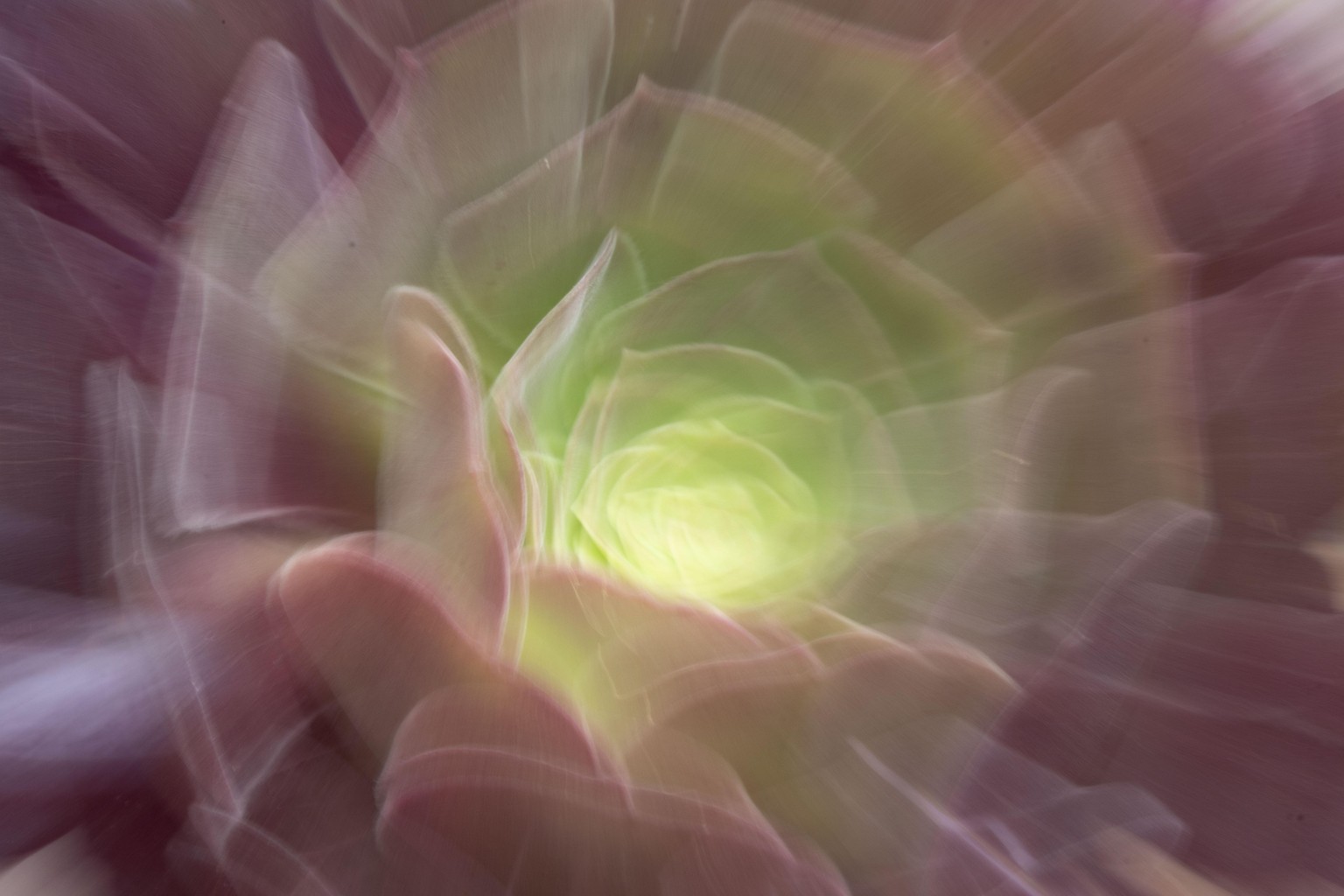 Intentional Camera Movement - image 3 - student project