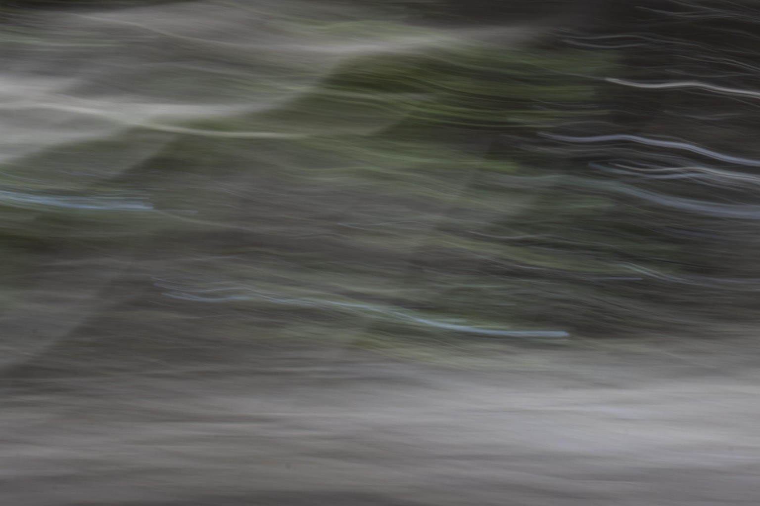 Intentional Camera Movement - image 2 - student project