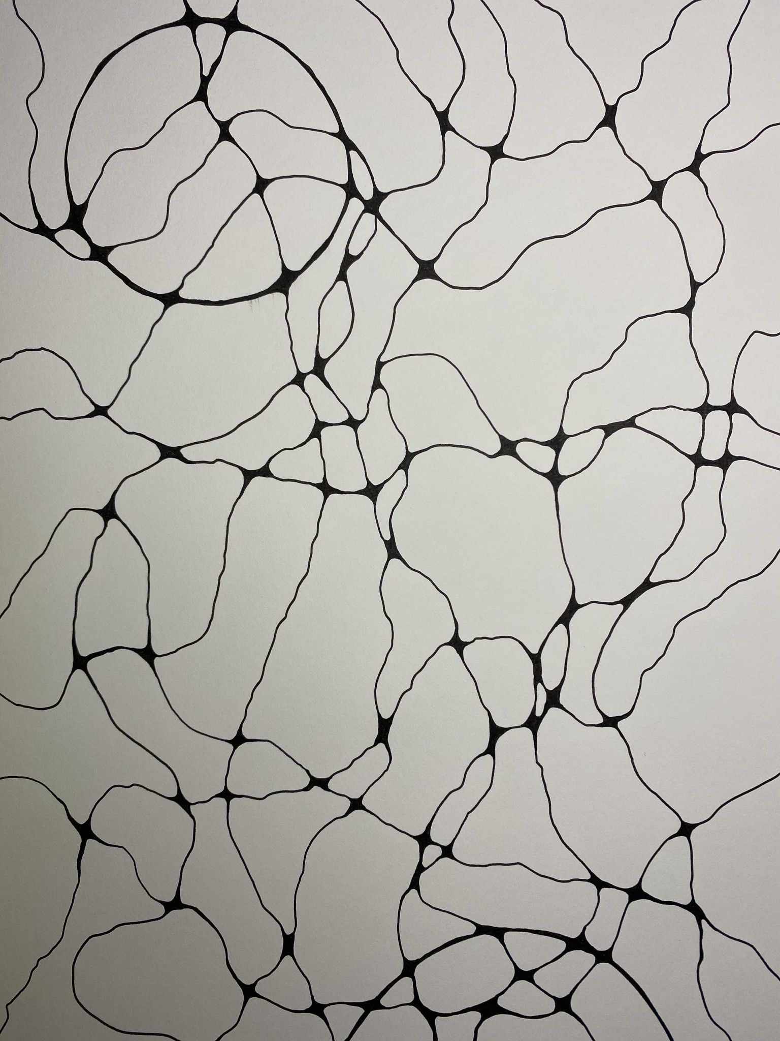 Neuroart foundations - image 2 - student project