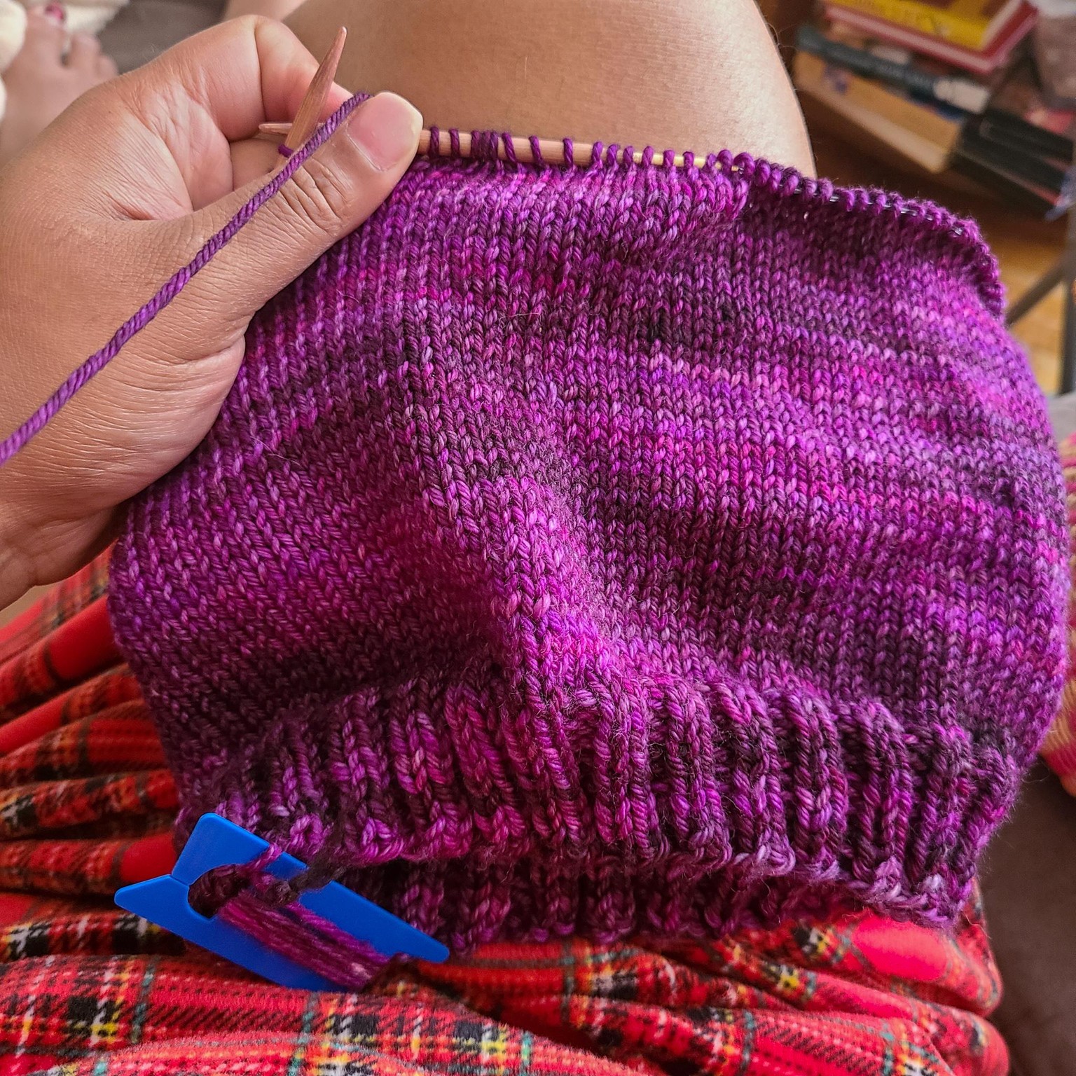 A tale of two cowls. - image 4 - student project