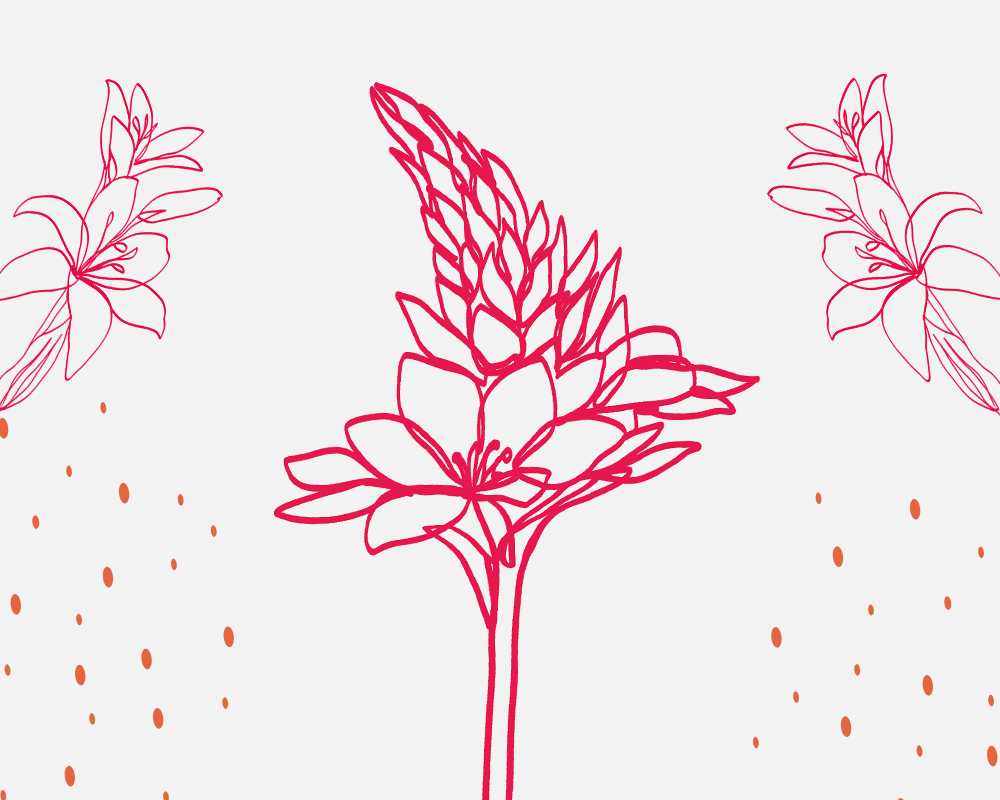 Happy Women's Day? No, Happy Feminine Energy Day! - image 2 - student project