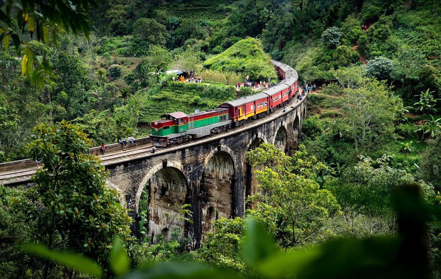 Un voyage au Sri Lanka - image 1 - student project