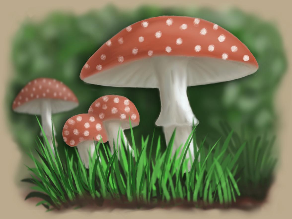 Procreate for Beginners - Part 1- Bill Singleton - image 1 - student project