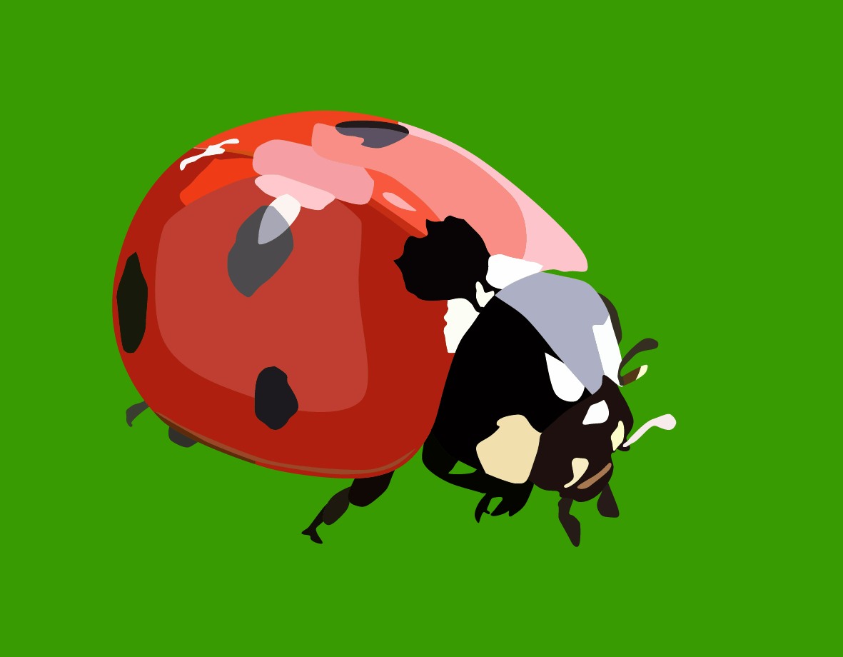 Advanced Adobe Illustrator course by Widhi Muttaqien - image 1 - student project