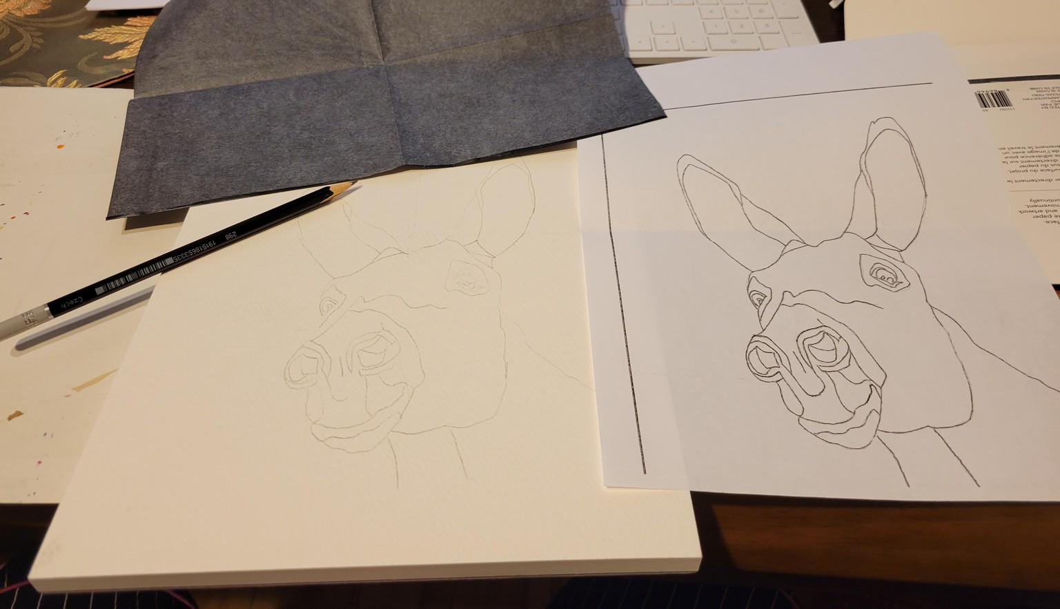 donkey #1 and #2 - image 3 - student project