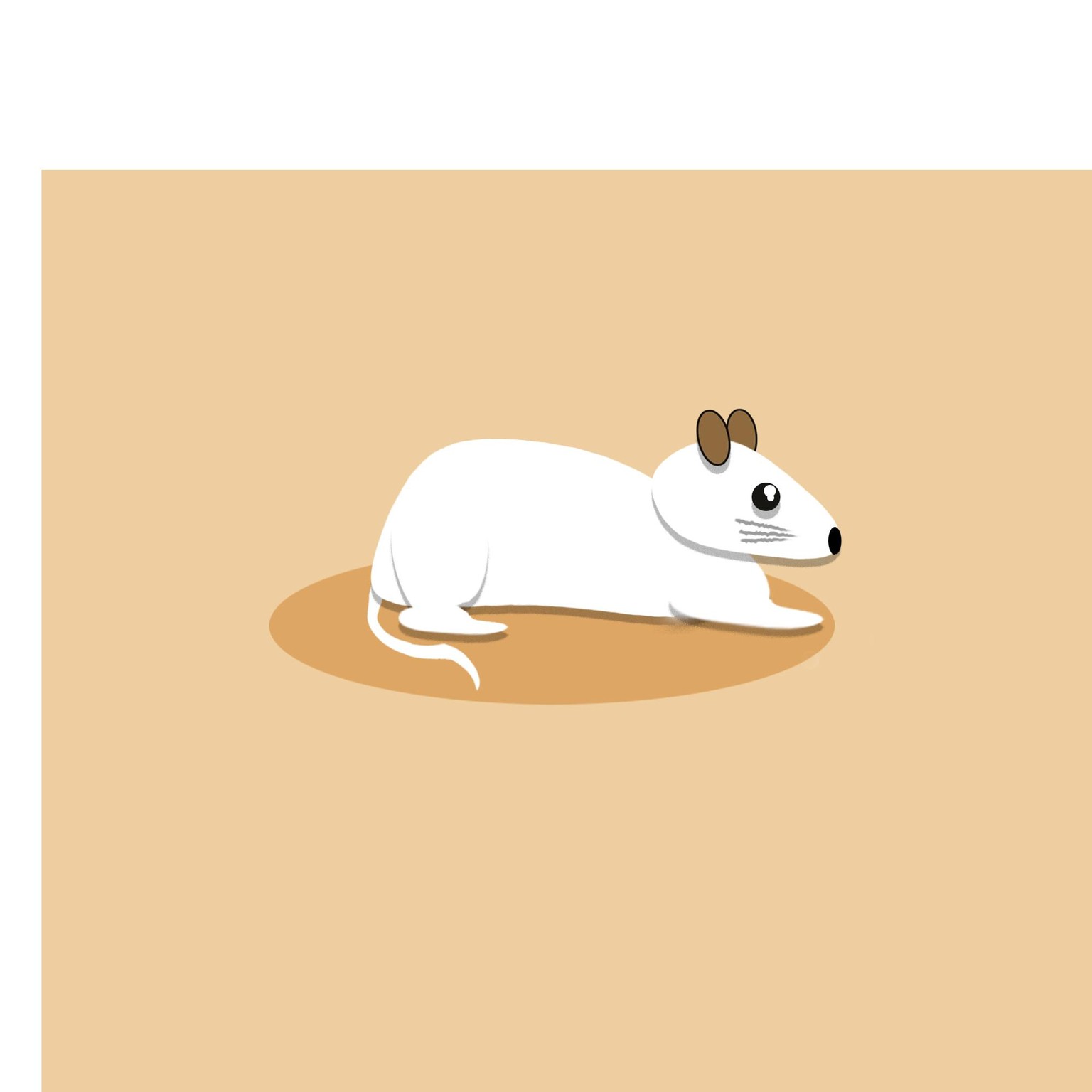 Mouse - image 3 - student project