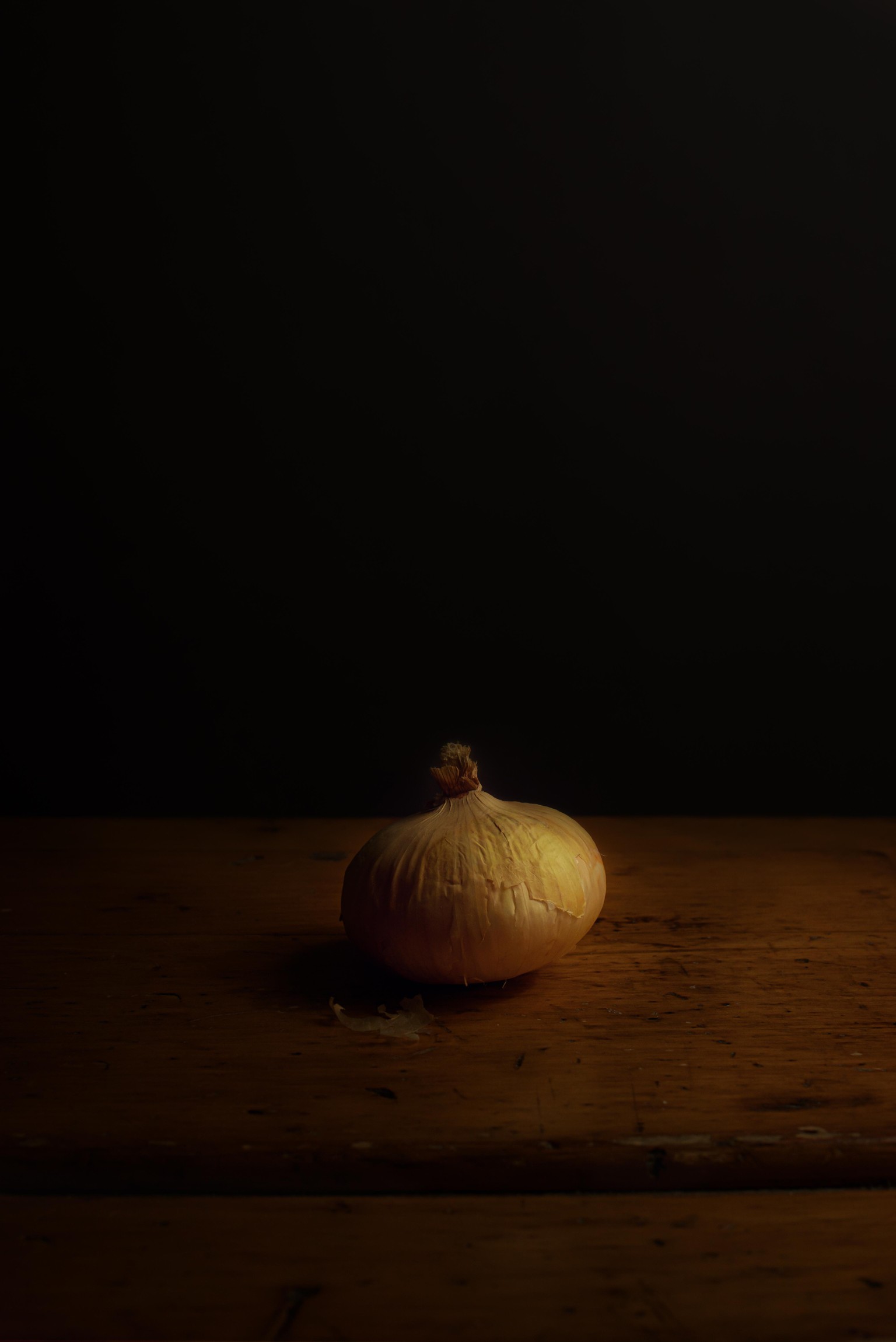 Fine Art Photography - image 2 - student project