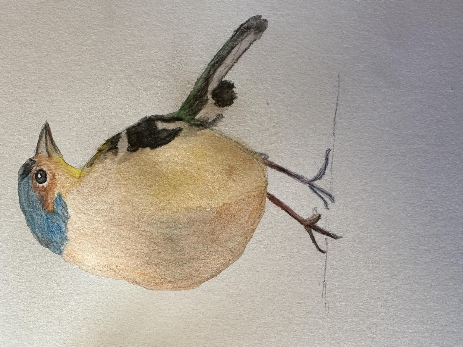 Bird - image 2 - student project