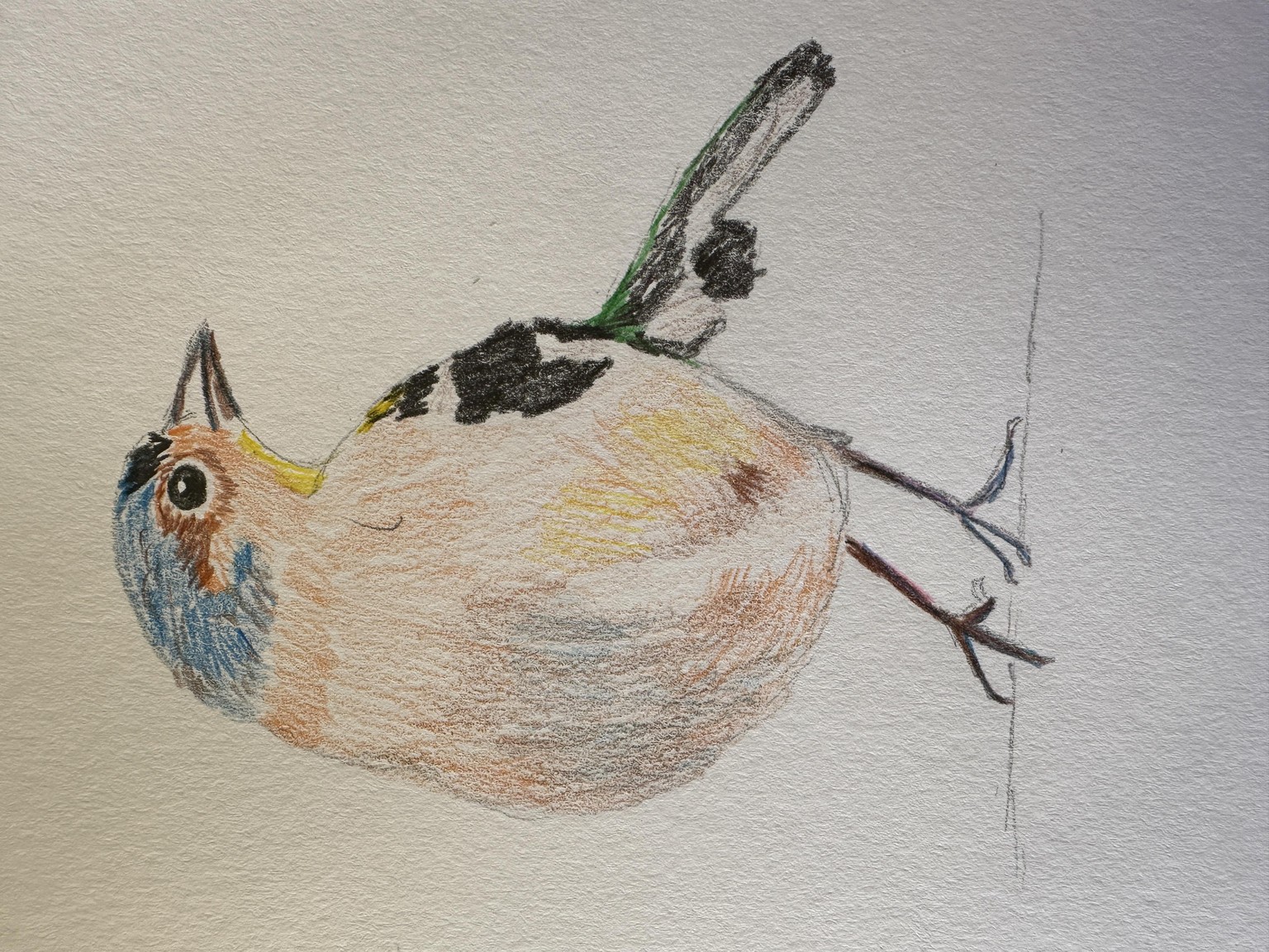 Bird - image 1 - student project