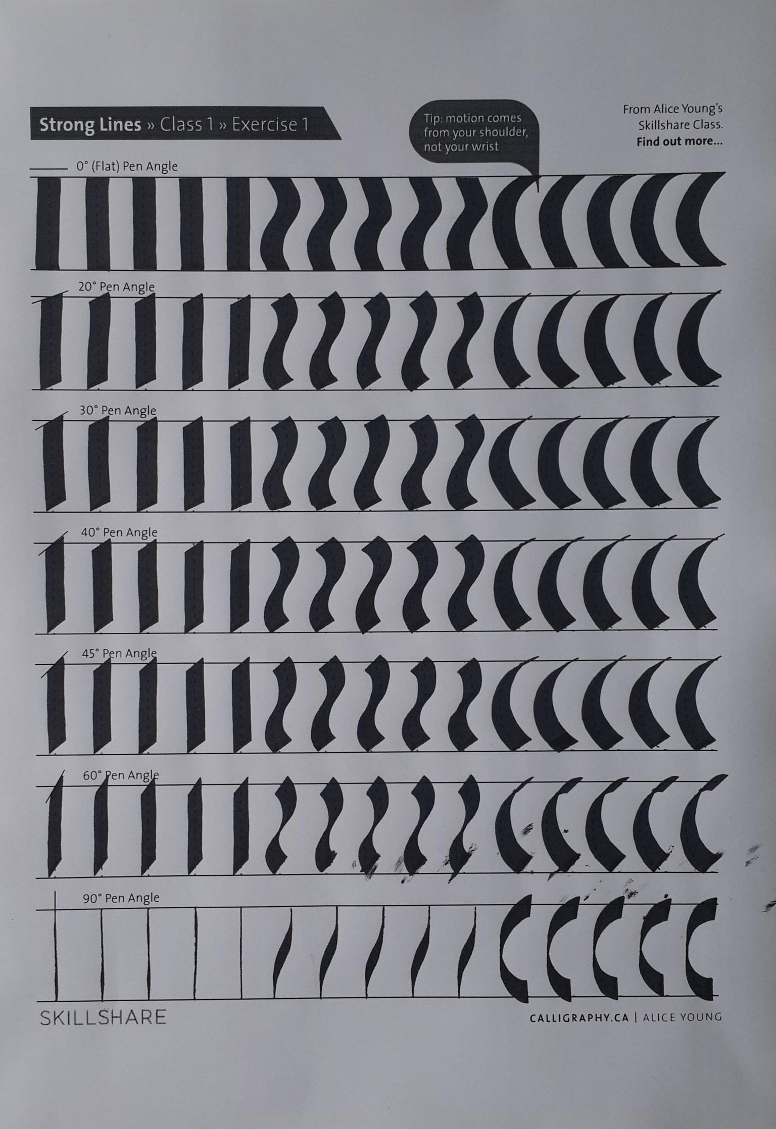 Not a tattoo doodle - image 1 - student project