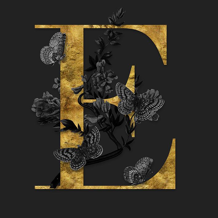 E is for Esther - image 8 - student project