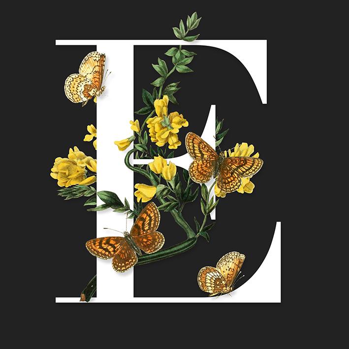 E is for Esther - image 7 - student project