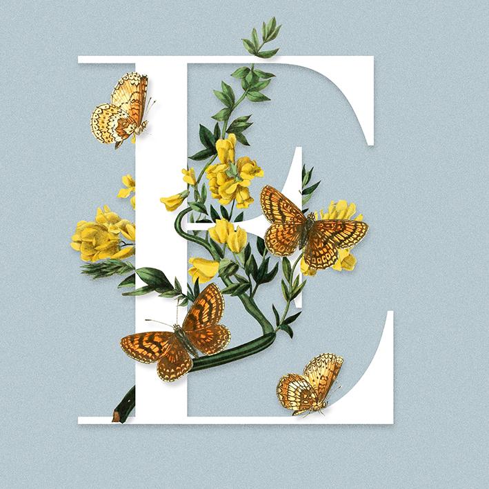 E is for Esther - image 5 - student project