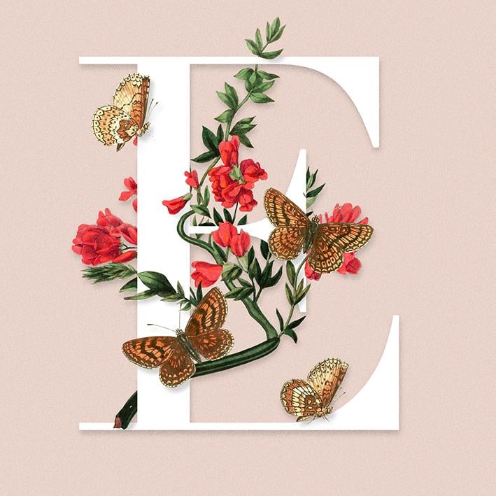 E is for Esther - image 6 - student project