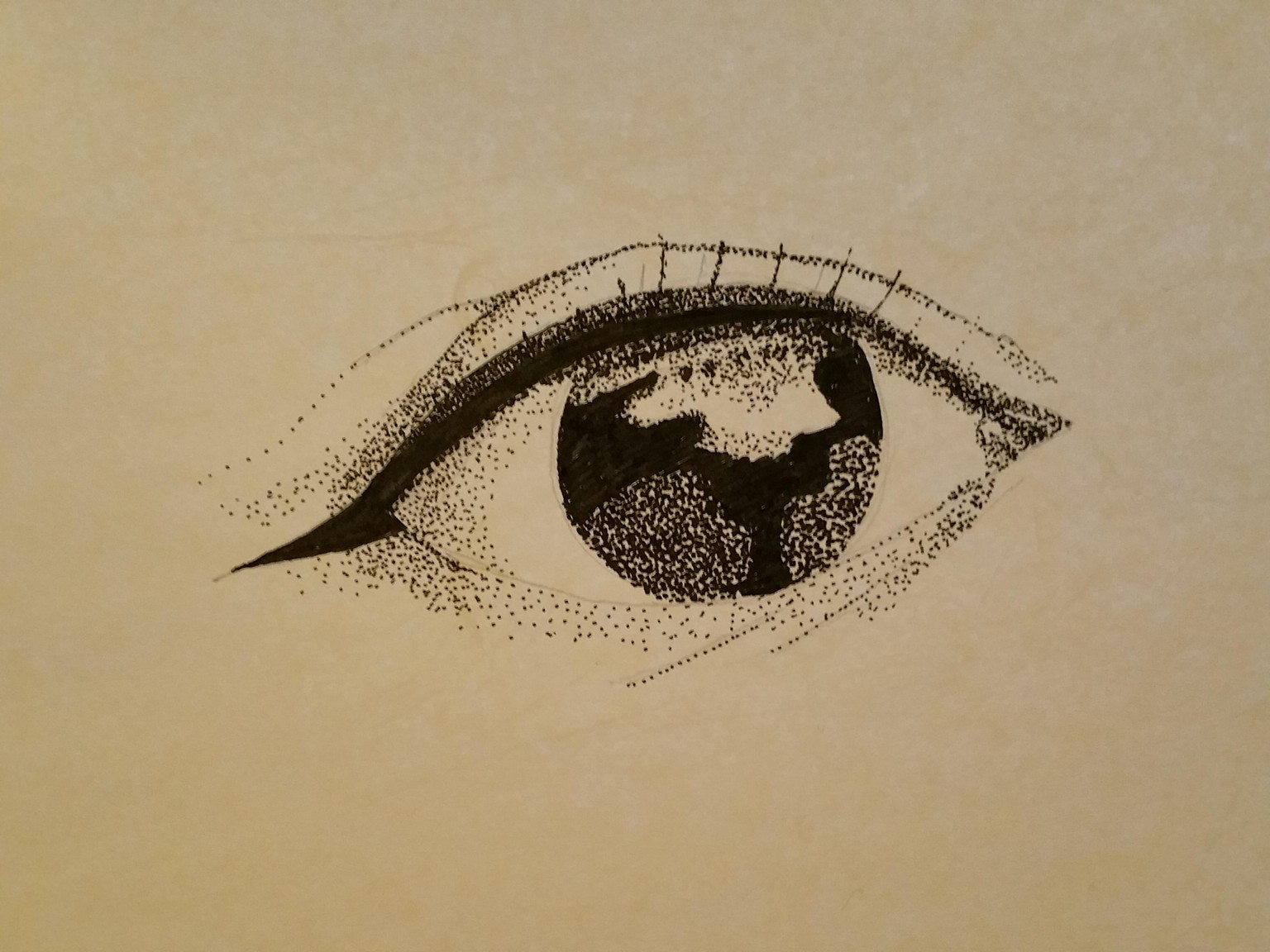 Eye stipple - image 1 - student project