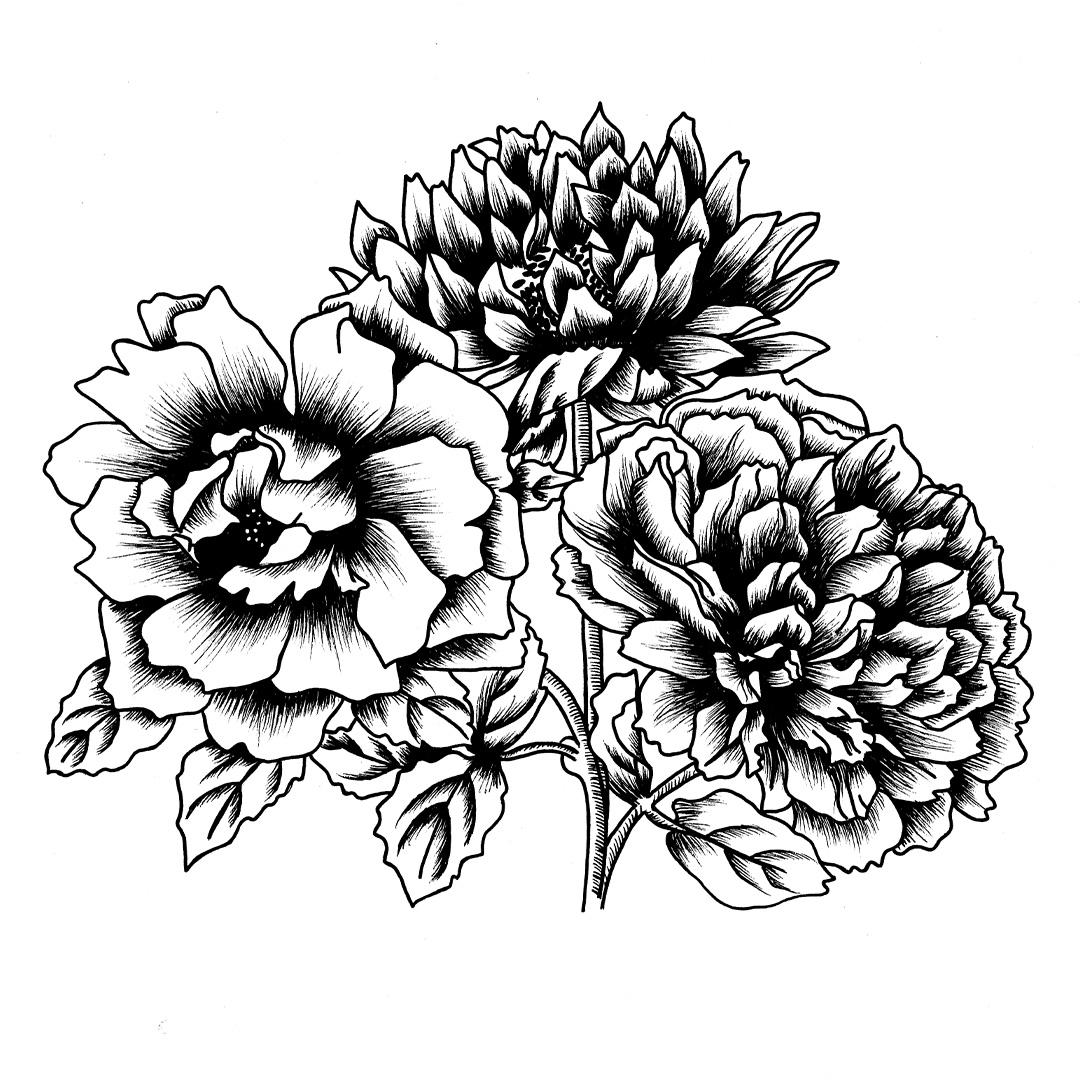 Pen & Ink Florals - image 1 - student project