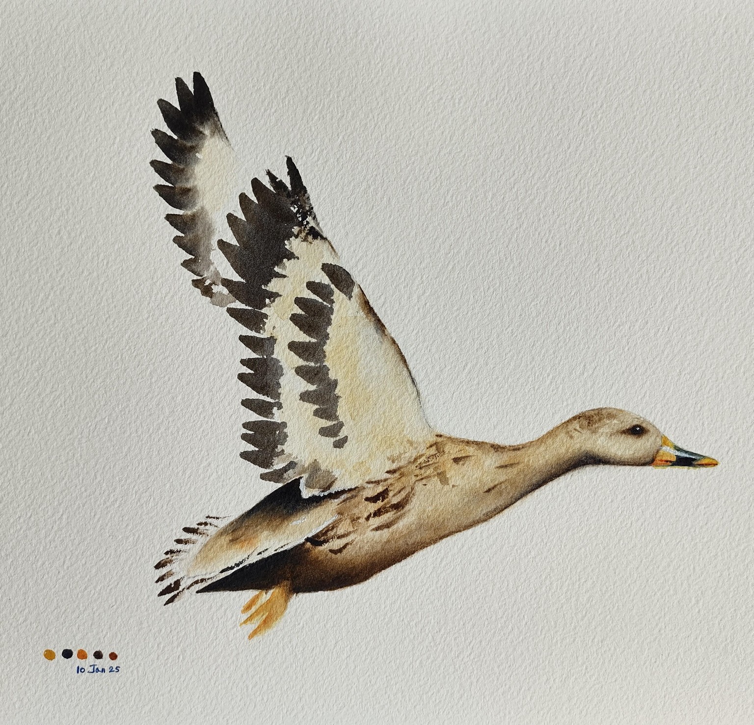 Flying Duck - a class by Nadine Dudek - image 1 - student project
