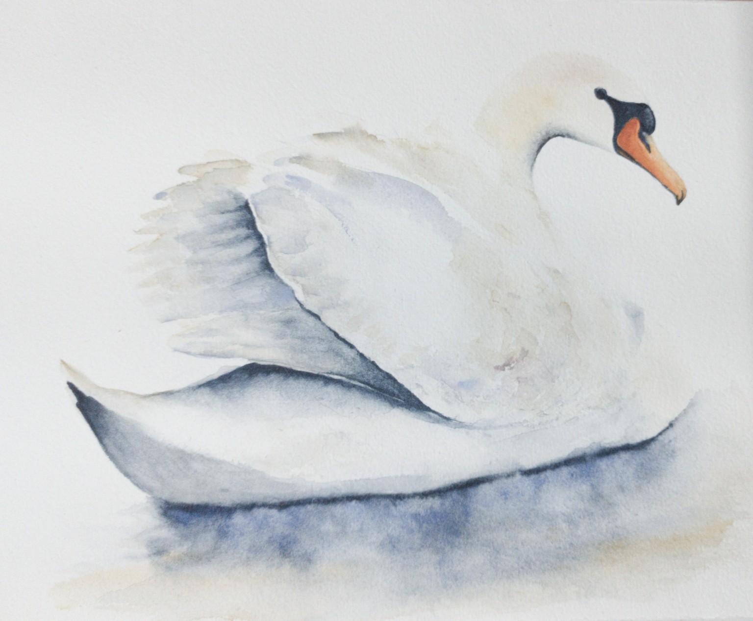 White Swan Watercolour - a class by Nadine Dudek - image 1 - student project
