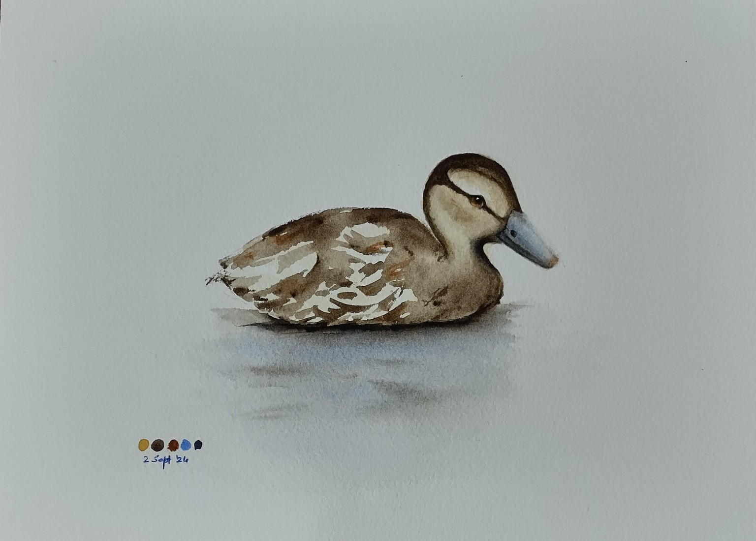 Duckling Wet in Wet. A class with Nadine Dudek - image 2 - student project