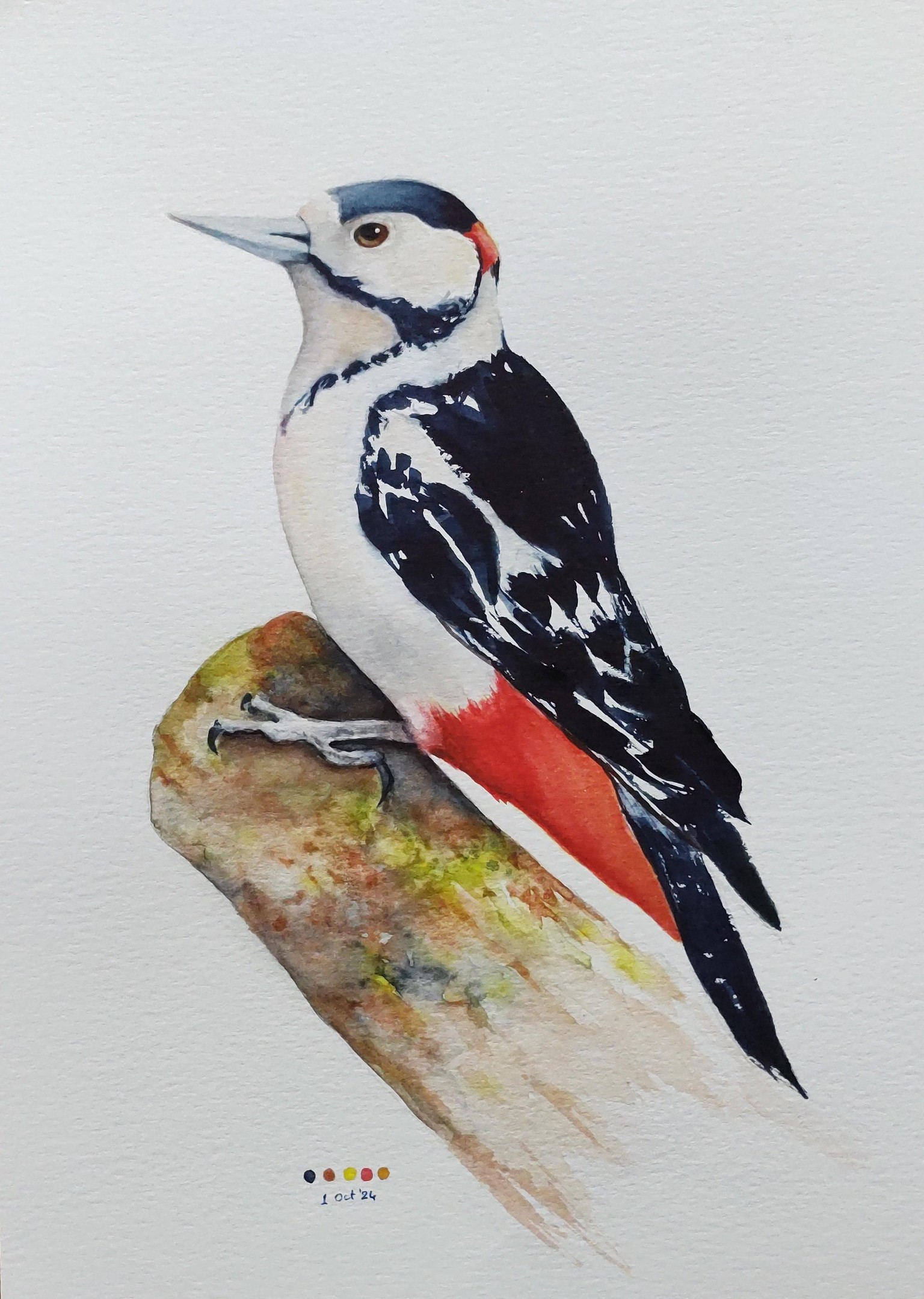 Woodpecker in watercolour - A class with Nadine Dudek - image 1 - student project