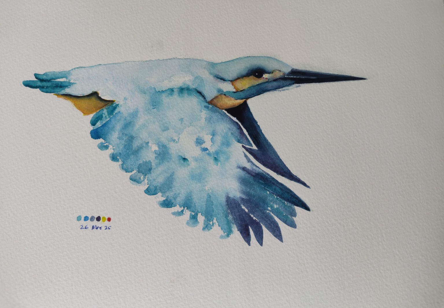 Flying Kingfisher - A watercolour class with Nadine Dudek - image 1 - student project