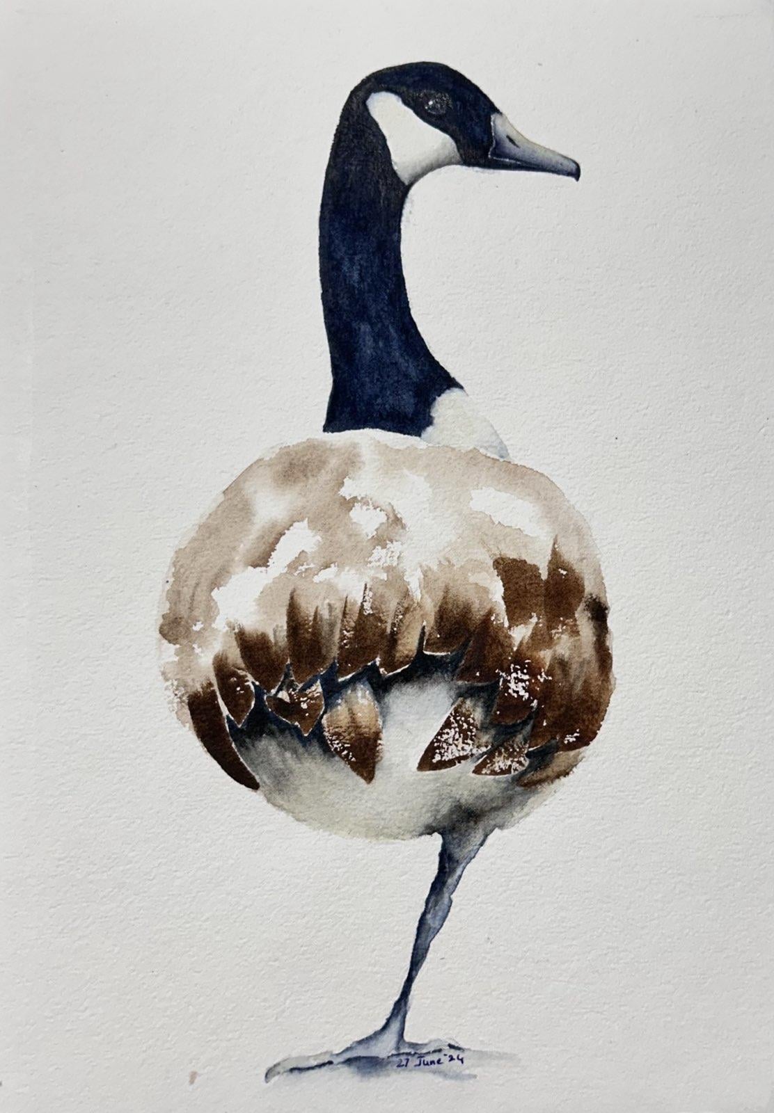 Canada Goose Watercolour - a class by Nadine Dudek - image 1 - student project