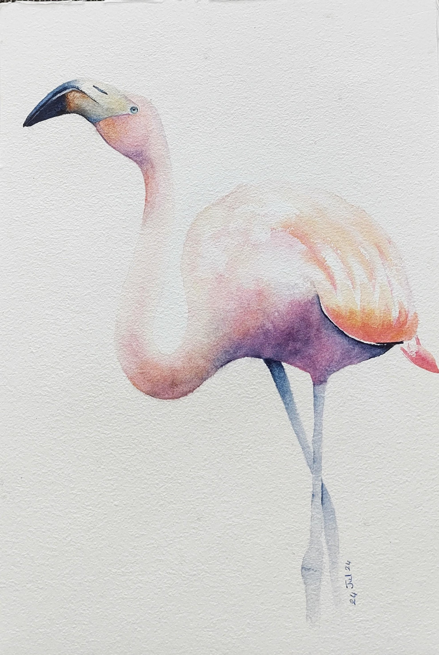 Flamingo in watercolour - A class by Nadine Dudek - image 1 - student project
