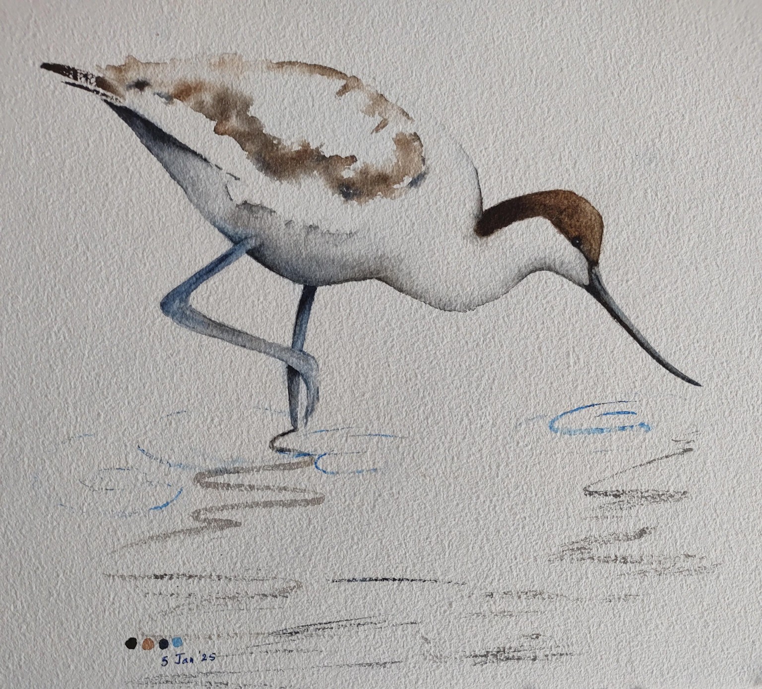 Avocet Watercolour - A class with Nadine Dudek - image 1 - student project