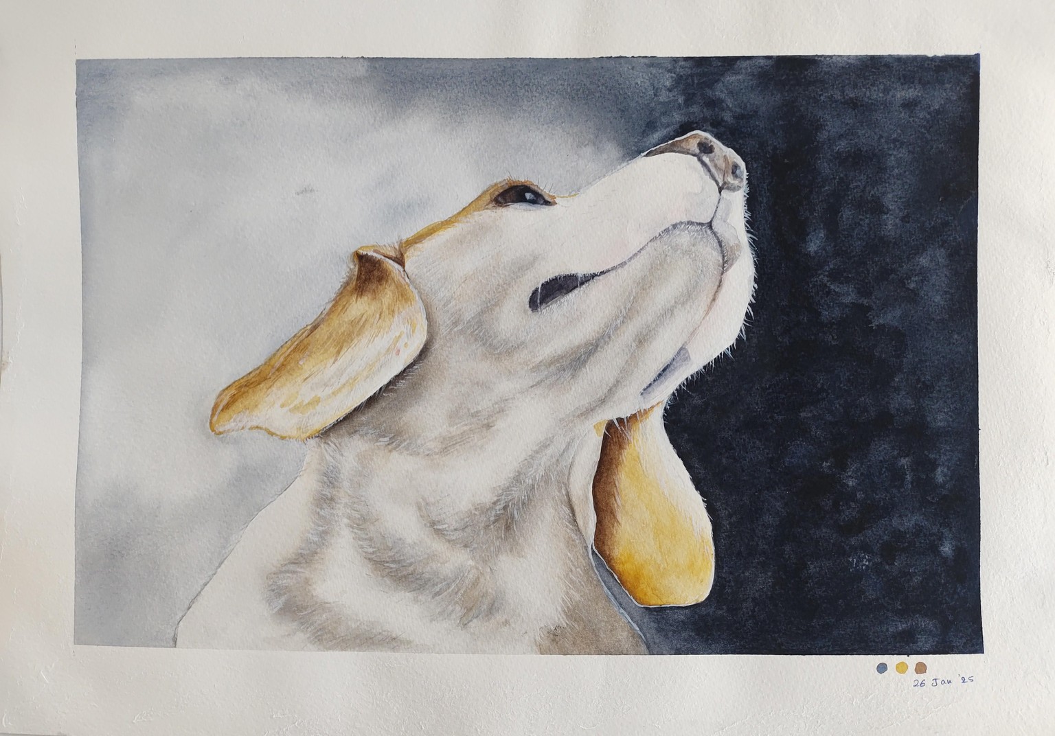 Lemon Beagle-a watercolour class with Mary Evelyn Tucker - image 1 - student project