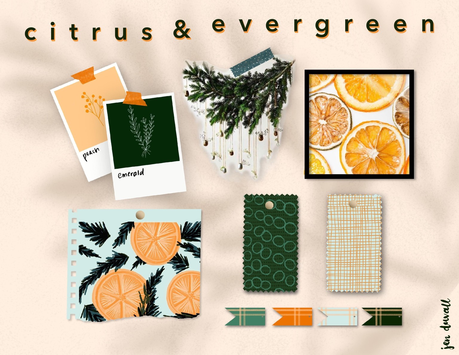 Citrus & Evergreen - image 4 - student project