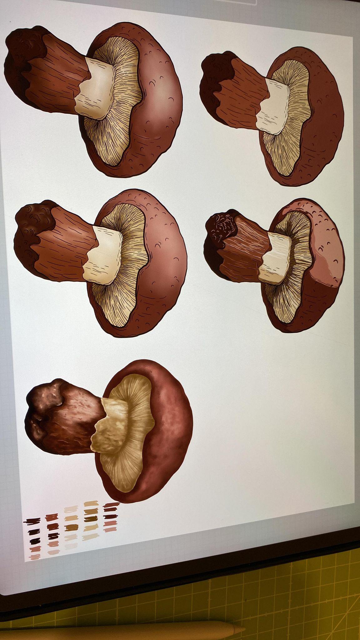 :) - image 1 - student project