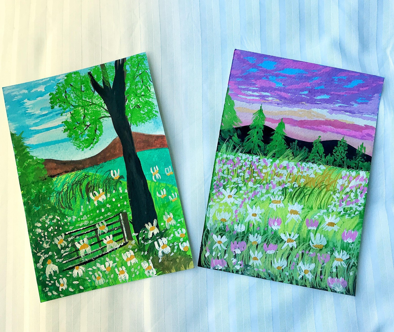 Daisy Field - Projects - image 1 - student project