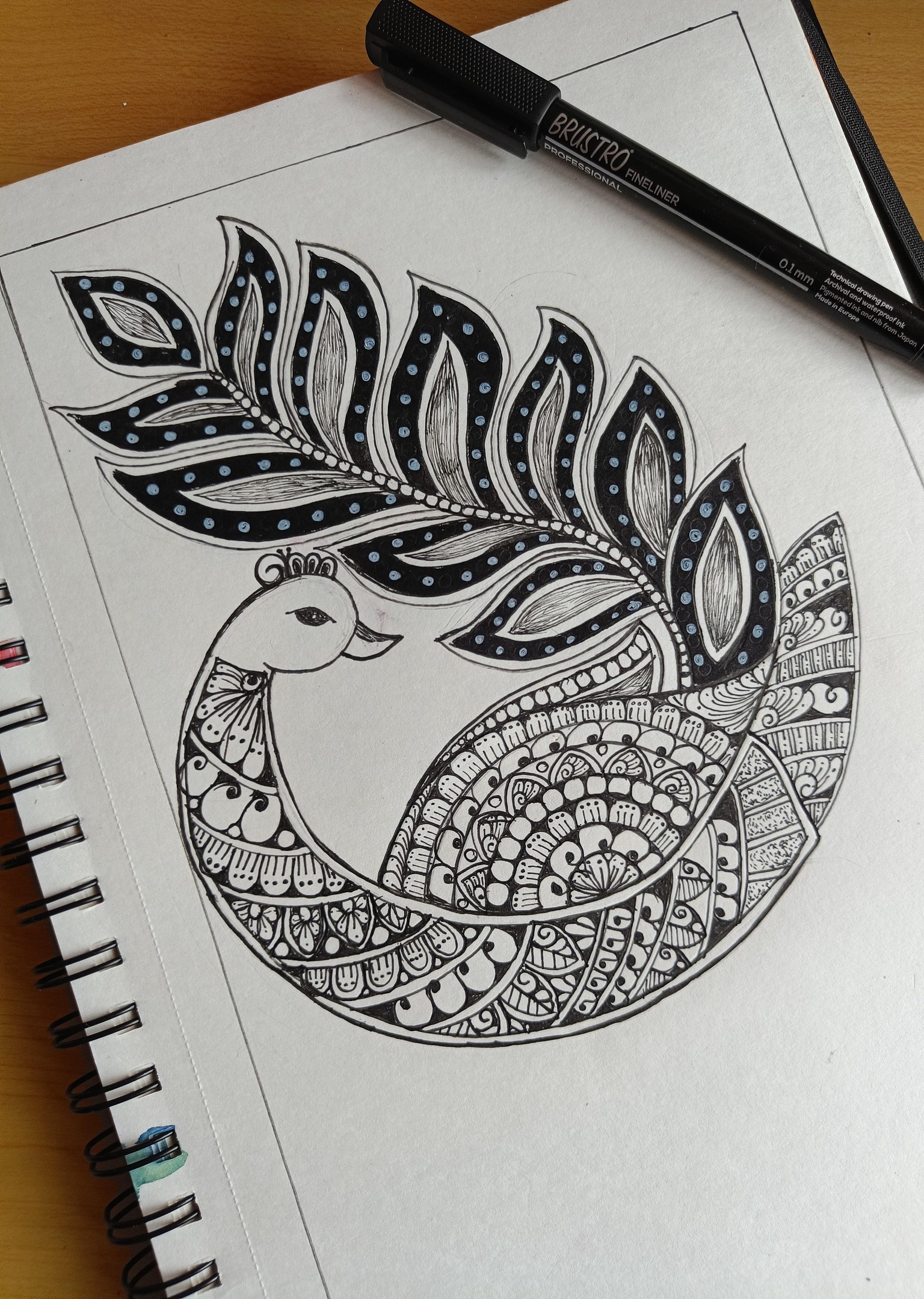 PEACOCK MANDALA - image 1 - student project
