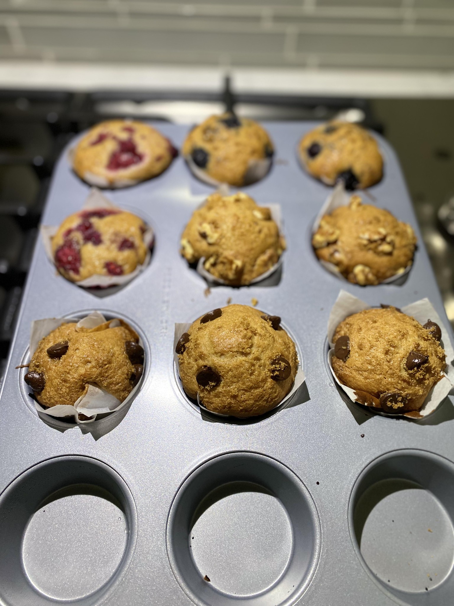 Fresh out of Oven - image 4 - student project