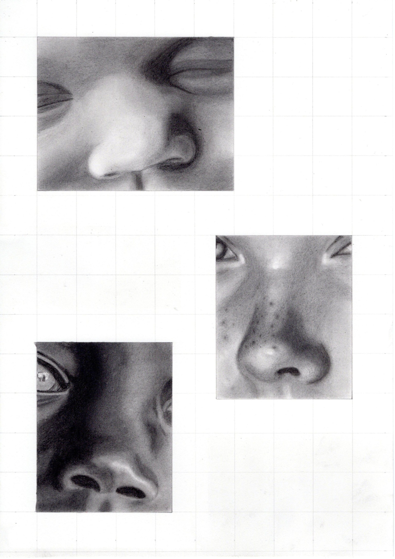 Noses completed - image 1 - student project