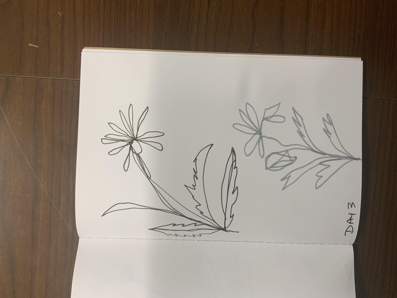 Days 1-7 sketchbook - image 3 - student project