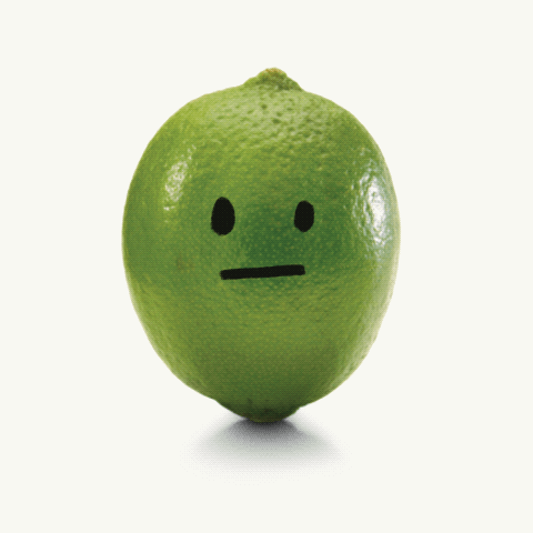 Limey - image 1 - student project