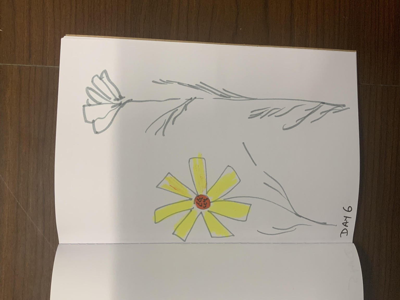Days 1-7 sketchbook - image 6 - student project