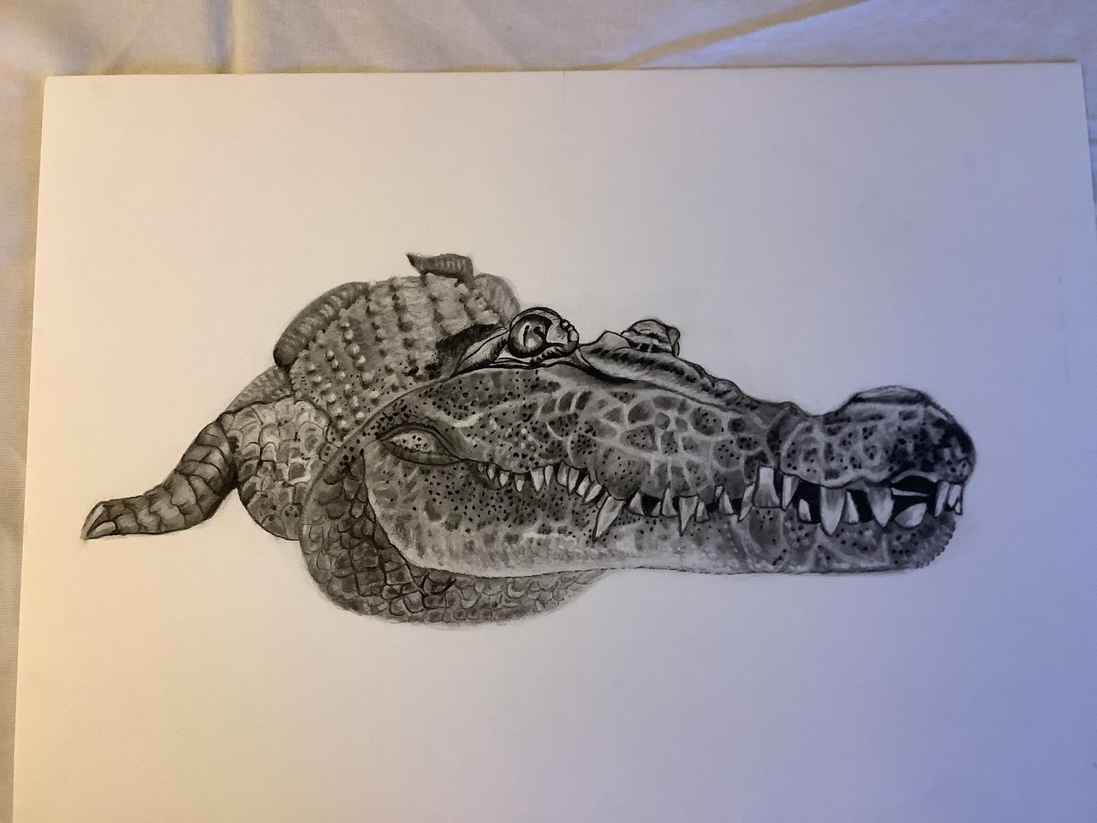 Croc - image 1 - student project